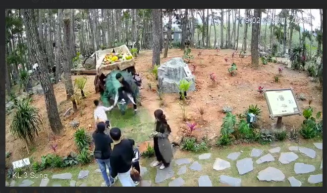 V-D. Bảo trẻ em hiếu động thì đã đành, đây 504 tháng tuổi mà vẫn như này thì đúng chịu luôn 😡