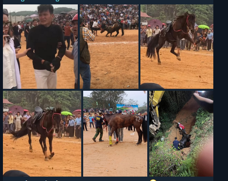 Hình ảnh- Video buồn ở phiên chợ Tình, Tuyên Quang 😭